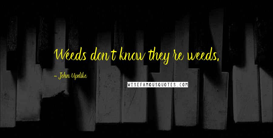 John Updike Quotes: Weeds don't know they're weeds.