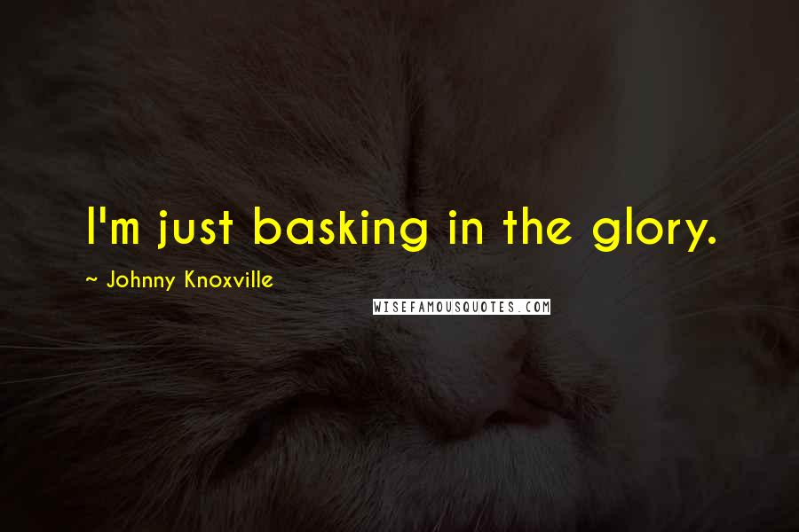 Johnny Knoxville Quotes: I'm just basking in the glory.