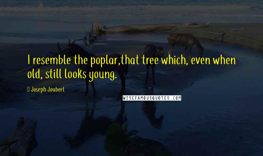 Joseph Joubert Quotes: I resemble the poplar,that tree which, even when old, still looks young.