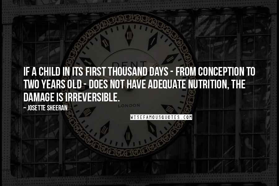 Josette Sheeran Quotes: If a child in its first thousand days - from conception to two years old - does not have adequate nutrition, the damage is irreversible.