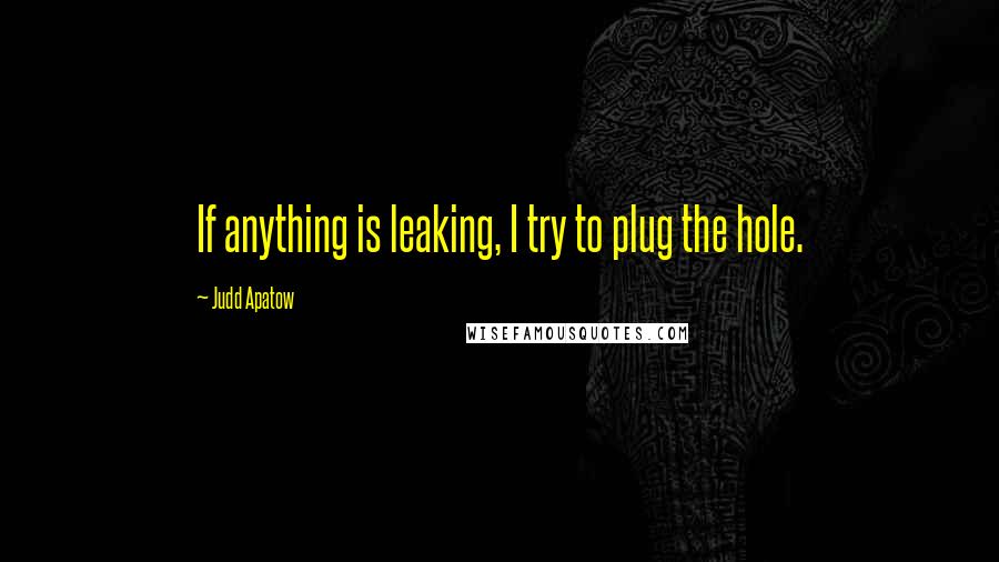 Judd Apatow Quotes: If anything is leaking, I try to plug the hole.