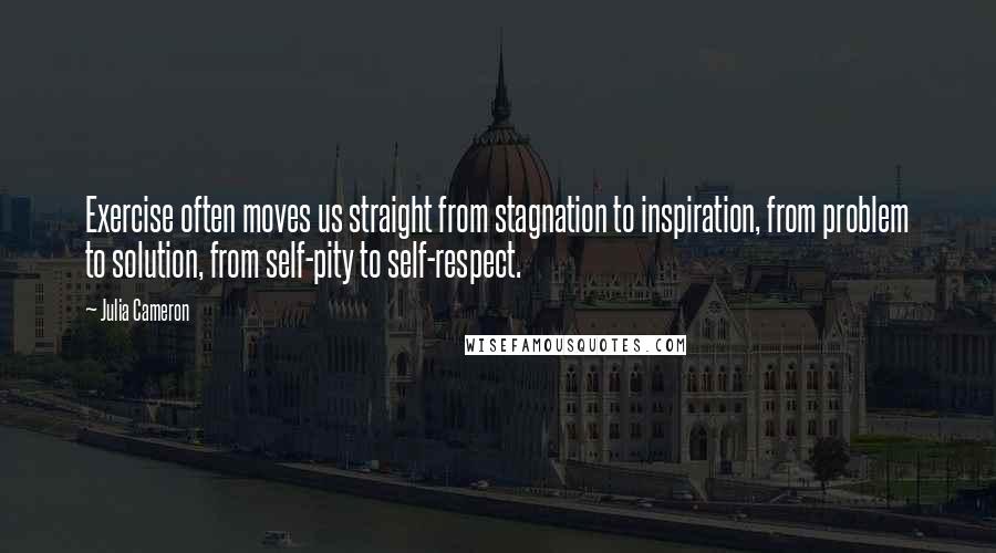 Julia Cameron Quotes: Exercise often moves us straight from stagnation to inspiration, from problem to solution, from self-pity to self-respect.