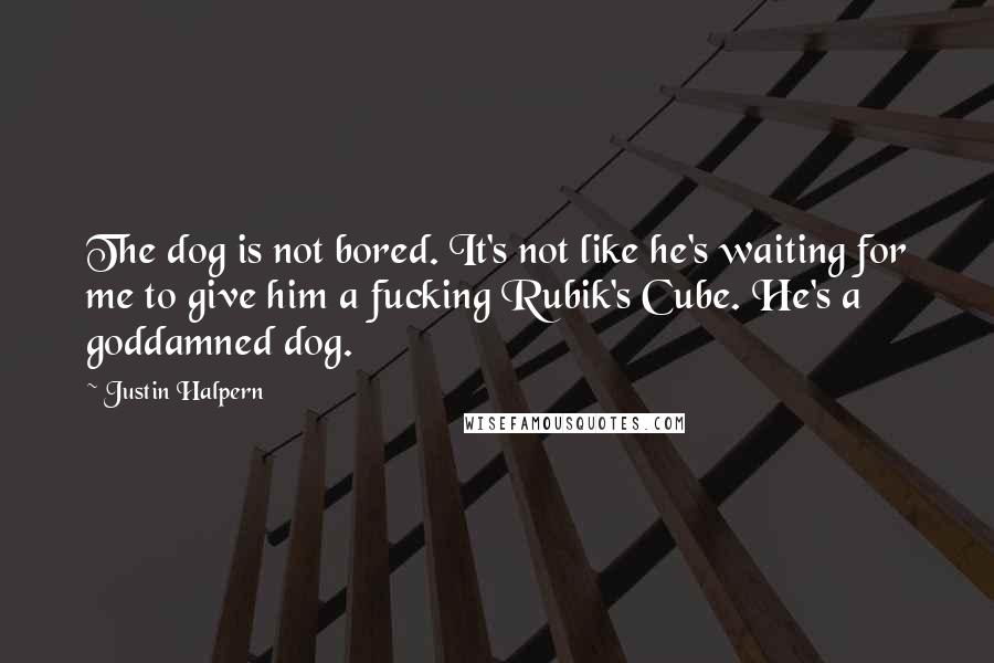 Justin Halpern Quotes: The dog is not bored. It's not like he's waiting for me to give him a fucking Rubik's Cube. He's a goddamned dog.