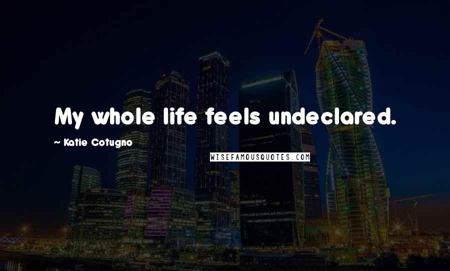 Katie Cotugno Quotes: My whole life feels undeclared.