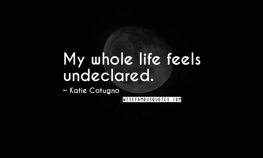 Katie Cotugno Quotes: My whole life feels undeclared.