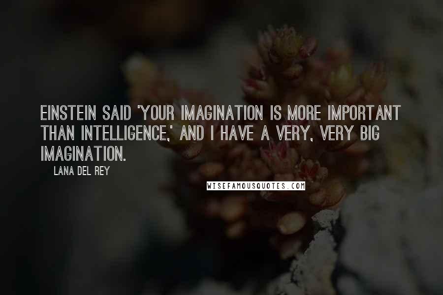 Lana Del Rey Quotes: Einstein said 'your imagination is more important than intelligence,' and I have a very, very big imagination.