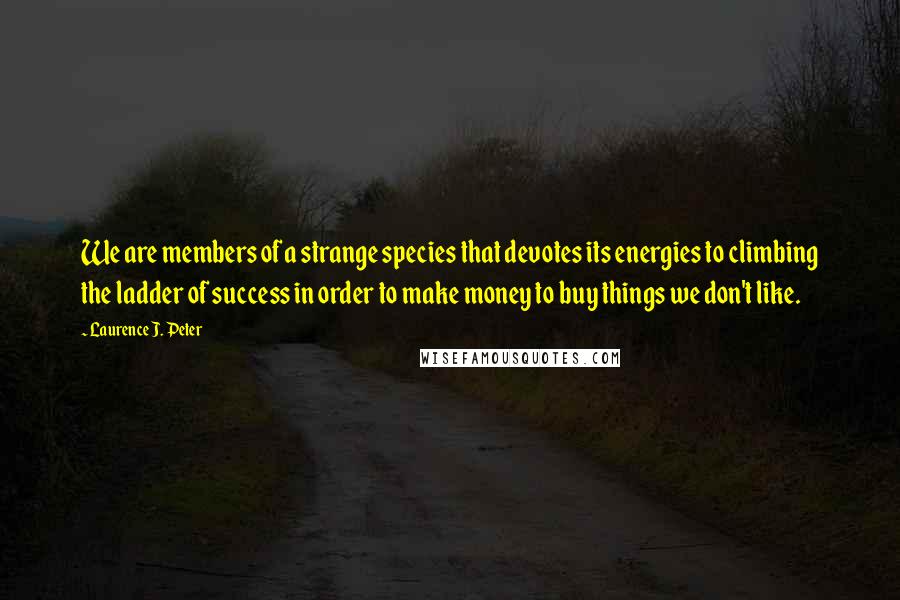 Laurence J. Peter Quotes: We are members of a strange species that devotes its energies to climbing the ladder of success in order to make money to buy things we don't like.