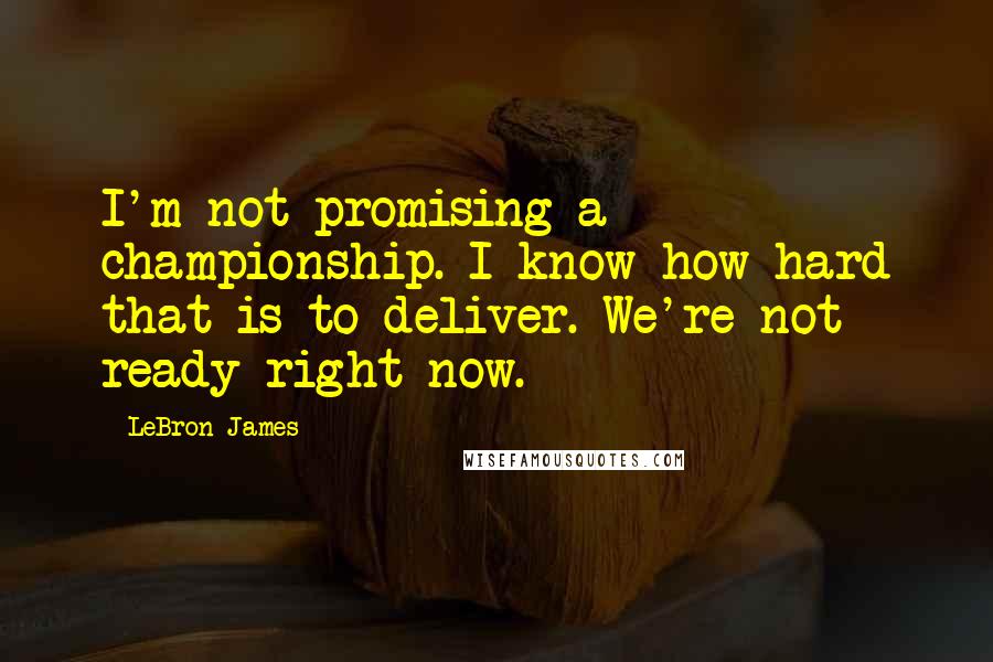 LeBron James Quotes: I'm not promising a championship. I know how hard that is to deliver. We're not ready right now.