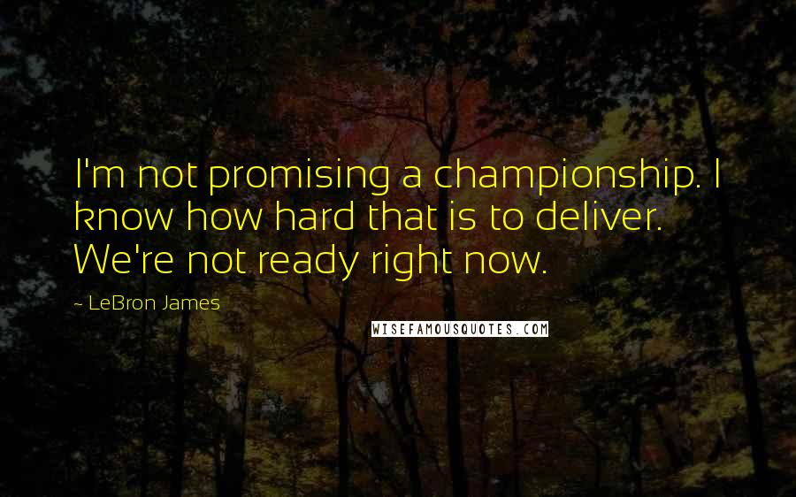 LeBron James Quotes: I'm not promising a championship. I know how hard that is to deliver. We're not ready right now.