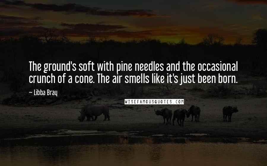 Libba Bray Quotes: The ground's soft with pine needles and the occasional crunch of a cone. The air smells like it's just been born.