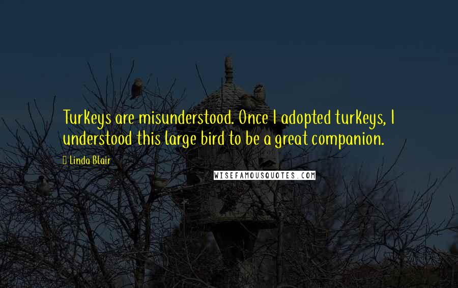 Linda Blair Quotes: Turkeys are misunderstood. Once I adopted turkeys, I understood this large bird to be a great companion.