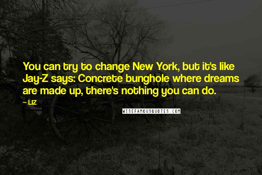 LIZ Quotes: You can try to change New York, but it's like Jay-Z says: Concrete bunghole where dreams are made up, there's nothing you can do.