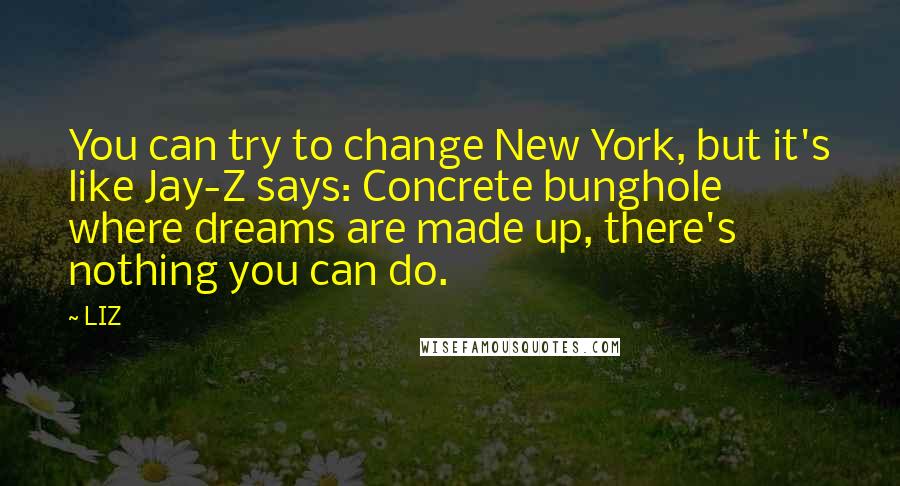 LIZ Quotes: You can try to change New York, but it's like Jay-Z says: Concrete bunghole where dreams are made up, there's nothing you can do.