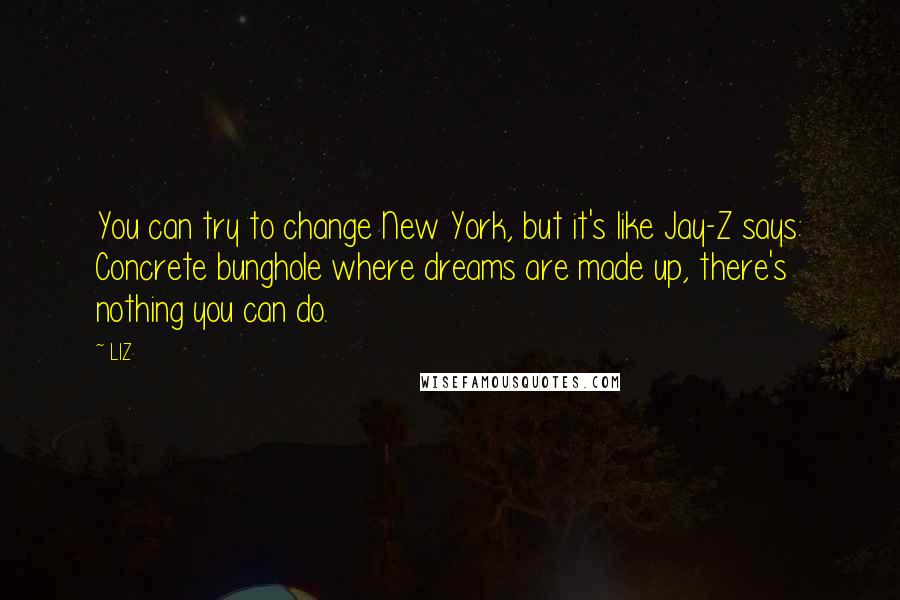 LIZ Quotes: You can try to change New York, but it's like Jay-Z says: Concrete bunghole where dreams are made up, there's nothing you can do.