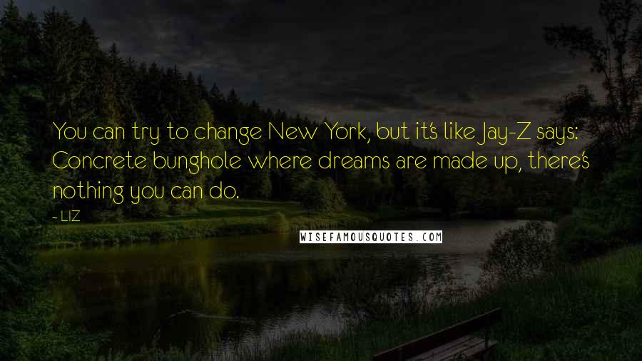 LIZ Quotes: You can try to change New York, but it's like Jay-Z says: Concrete bunghole where dreams are made up, there's nothing you can do.