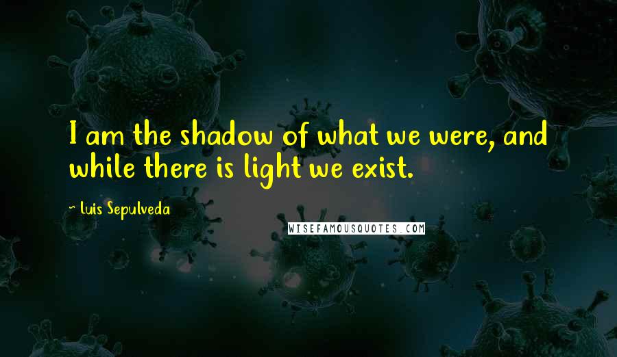 Luis Sepulveda Quotes: I am the shadow of what we were, and while there is light we exist.