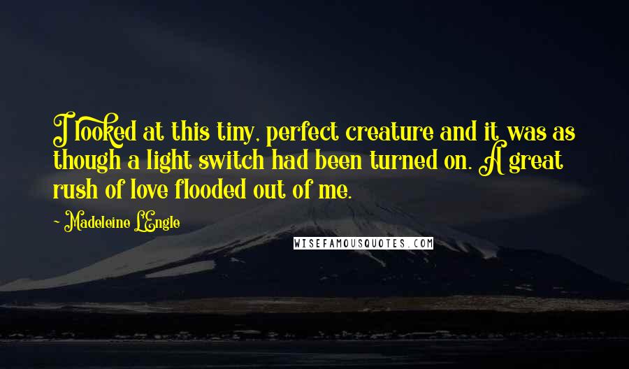 Madeleine L'Engle Quotes: I looked at this tiny, perfect creature and it was as though a light switch had been turned on. A great rush of love flooded out of me.