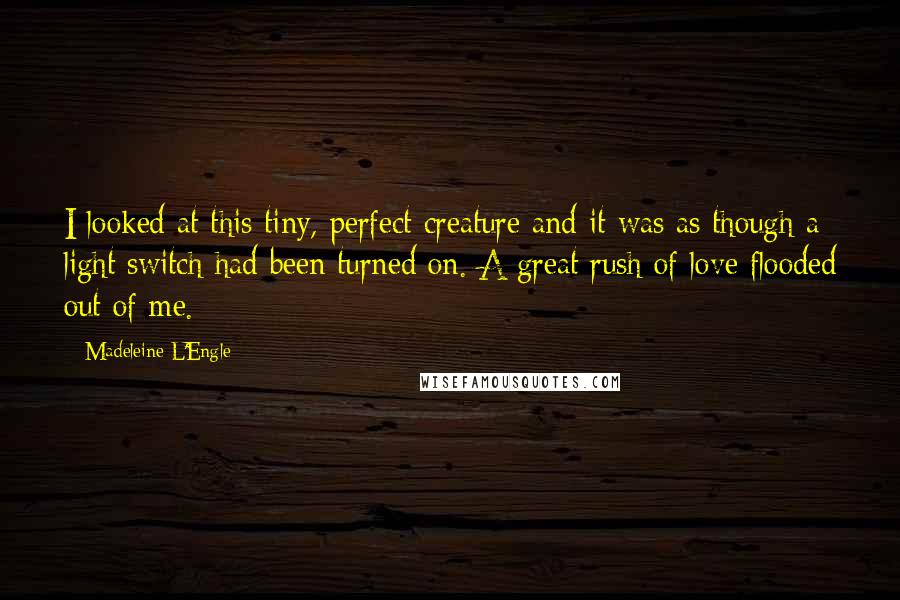 Madeleine L'Engle Quotes: I looked at this tiny, perfect creature and it was as though a light switch had been turned on. A great rush of love flooded out of me.