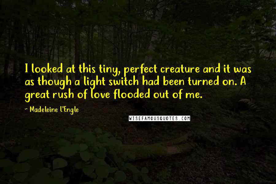 Madeleine L'Engle Quotes: I looked at this tiny, perfect creature and it was as though a light switch had been turned on. A great rush of love flooded out of me.