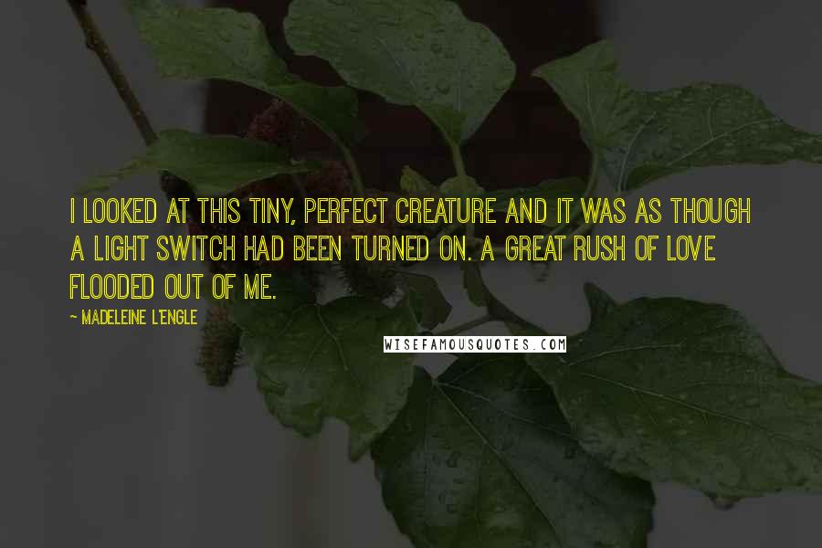 Madeleine L'Engle Quotes: I looked at this tiny, perfect creature and it was as though a light switch had been turned on. A great rush of love flooded out of me.