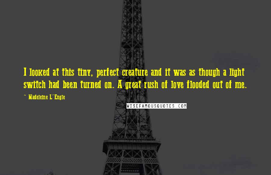 Madeleine L'Engle Quotes: I looked at this tiny, perfect creature and it was as though a light switch had been turned on. A great rush of love flooded out of me.