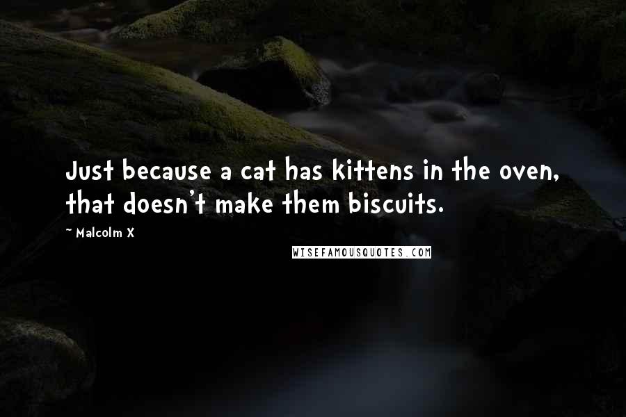 Malcolm X Quotes: Just because a cat has kittens in the oven, that doesn't make them biscuits.