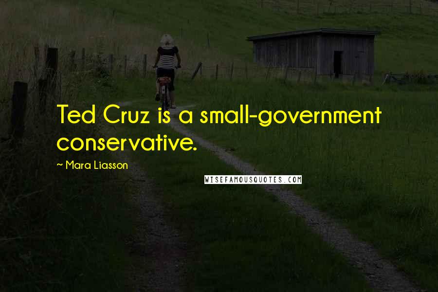 Mara Liasson Quotes: Ted Cruz is a small-government conservative.