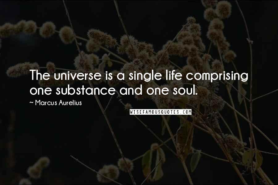 Marcus Aurelius Quotes: The universe is a single life comprising one substance and one soul.