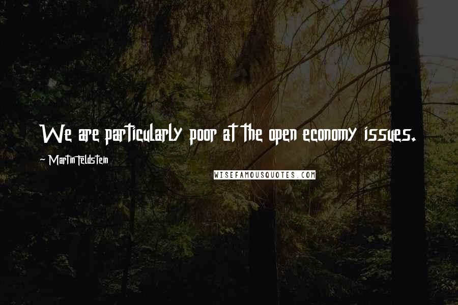 Martin Feldstein Quotes: We are particularly poor at the open economy issues.