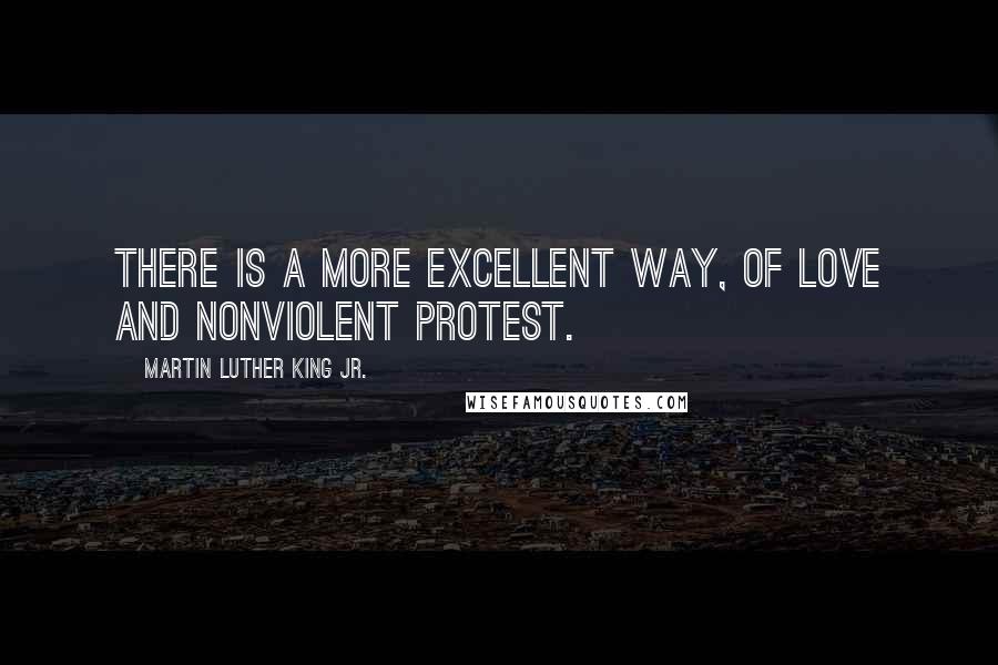 Martin Luther King Jr. Quotes: There is a more excellent way, of love and nonviolent protest.