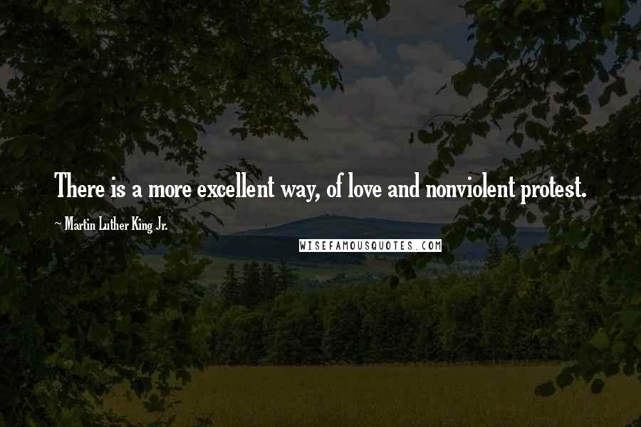 Martin Luther King Jr. Quotes: There is a more excellent way, of love and nonviolent protest.