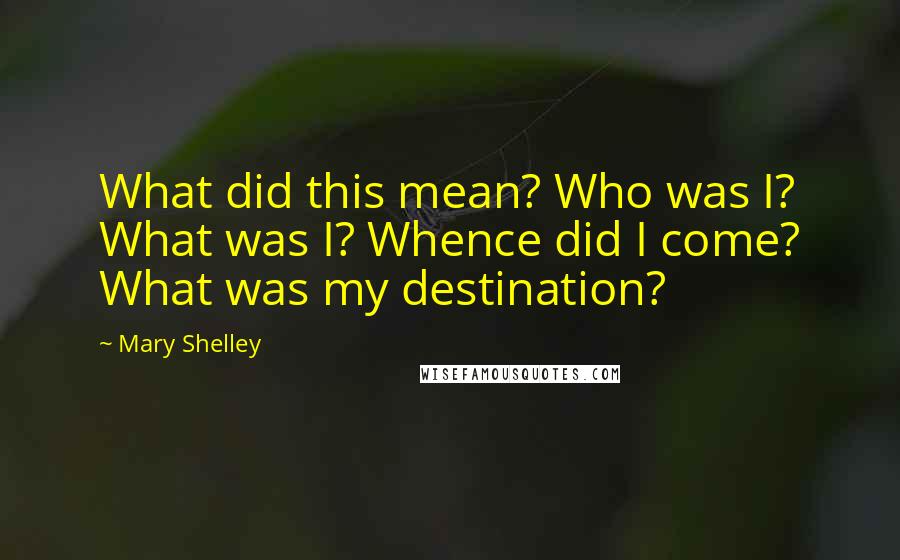 Mary Shelley Quotes: What did this mean? Who was I? What was I? Whence did I come? What was my destination?