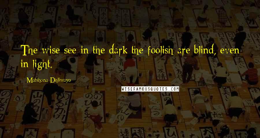 Matshona Dhliwayo Quotes: The wise see in the dark;the foolish are blind, even in light.