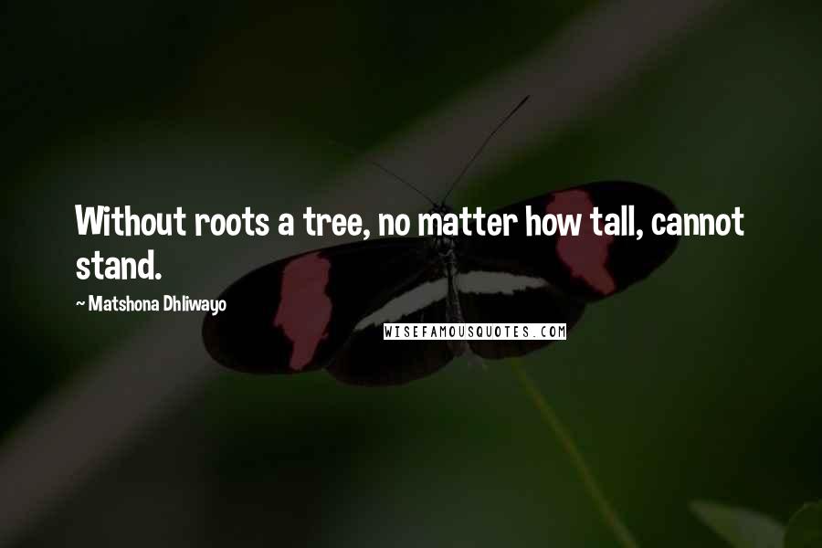 Matshona Dhliwayo Quotes: Without roots a tree, no matter how tall, cannot stand.