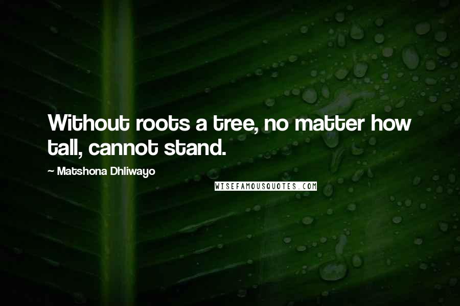 Matshona Dhliwayo Quotes: Without roots a tree, no matter how tall, cannot stand.