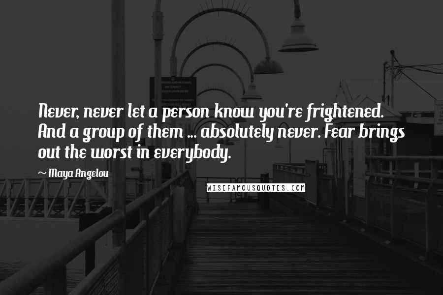 Maya Angelou Quotes: Never, never let a person know you're frightened. And a group of them ... absolutely never. Fear brings out the worst in everybody.