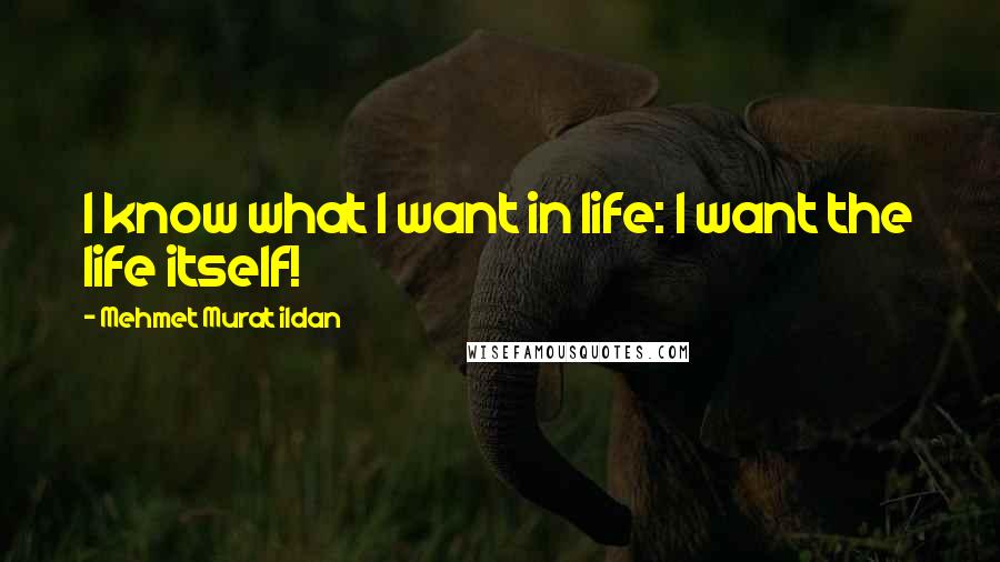 Mehmet Murat Ildan Quotes: I know what I want in life: I want the life itself!