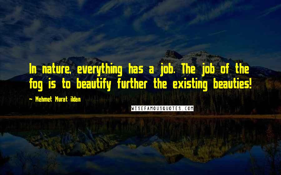 Mehmet Murat Ildan Quotes: In nature, everything has a job. The job of the fog is to beautify further the existing beauties!