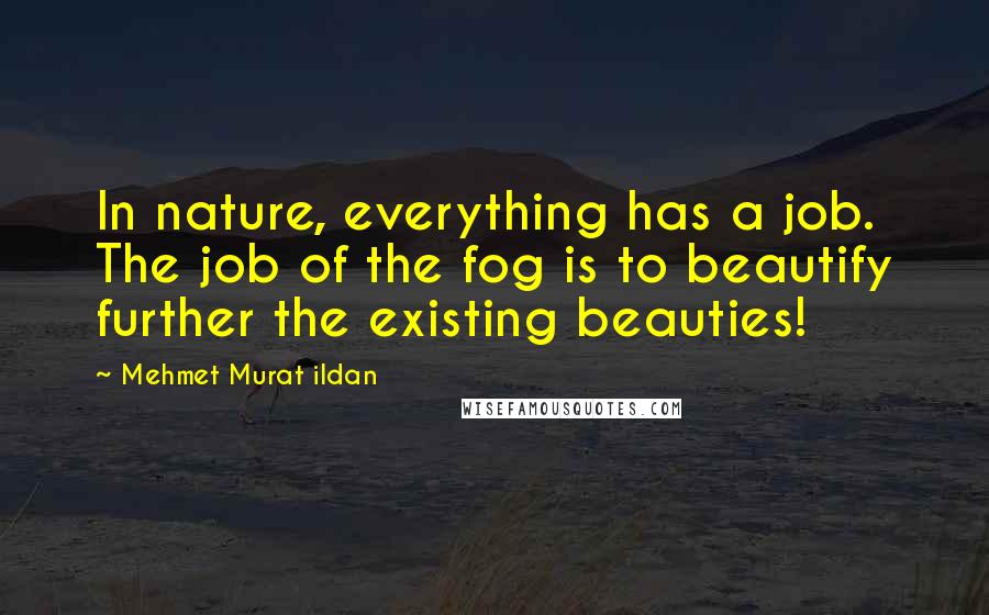 Mehmet Murat Ildan Quotes: In nature, everything has a job. The job of the fog is to beautify further the existing beauties!