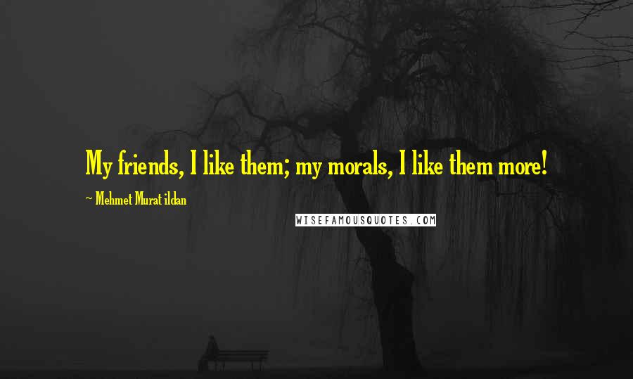 Mehmet Murat Ildan Quotes: My friends, I like them; my morals, I like them more!