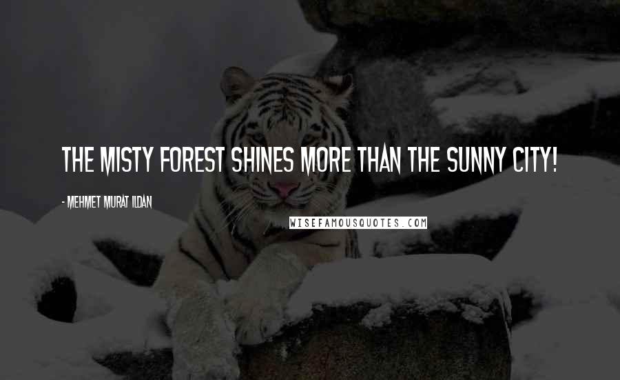 Mehmet Murat Ildan Quotes: The misty forest shines more than the sunny city!