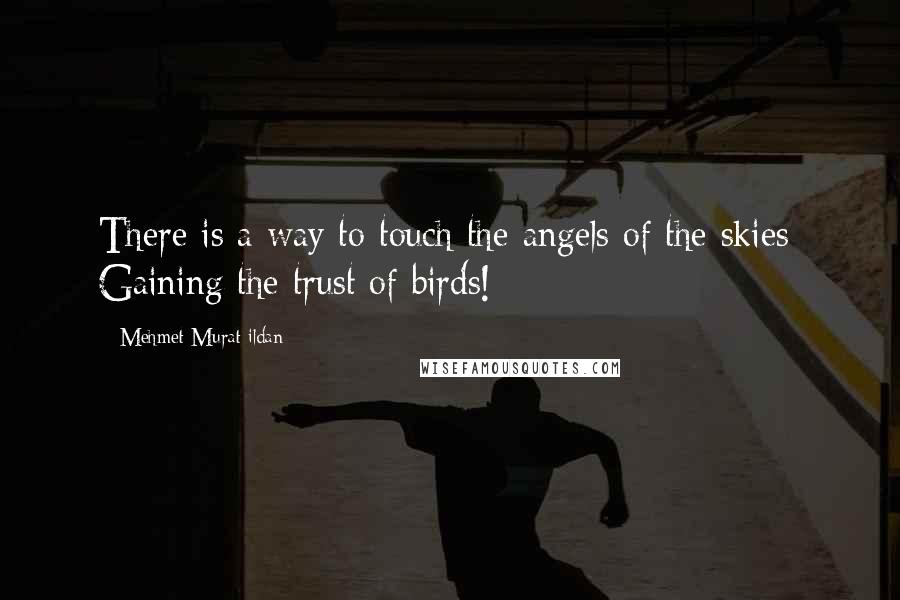 Mehmet Murat Ildan Quotes: There is a way to touch the angels of the skies: Gaining the trust of birds!