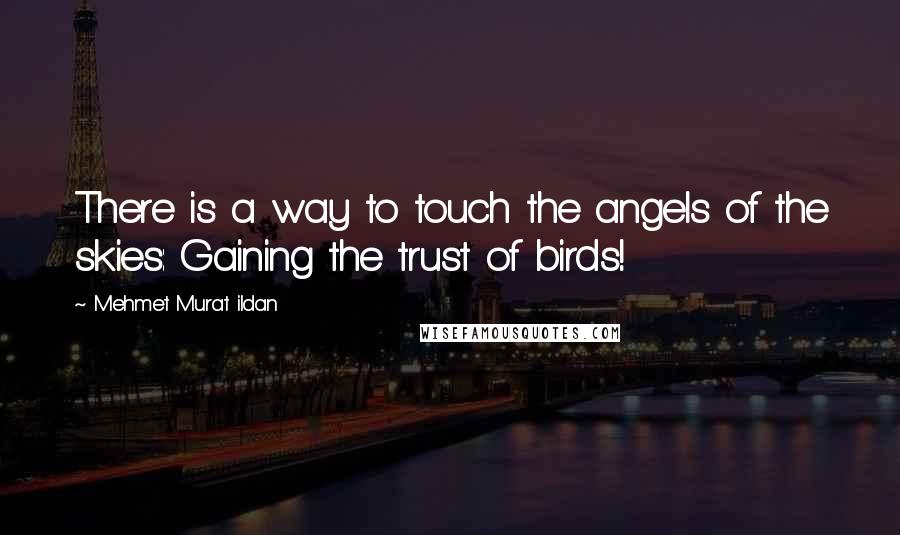 Mehmet Murat Ildan Quotes: There is a way to touch the angels of the skies: Gaining the trust of birds!