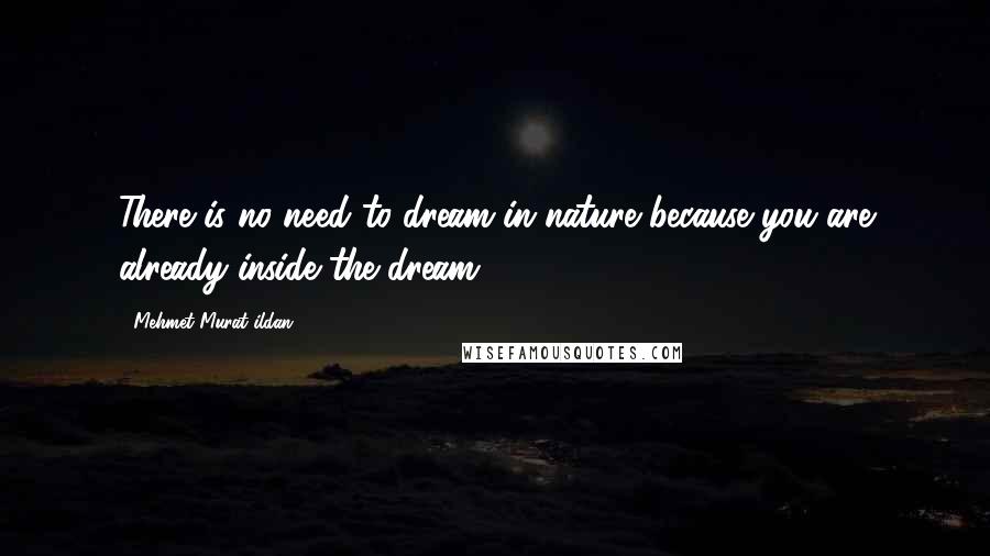 Mehmet Murat Ildan Quotes: There is no need to dream in nature because you are already inside the dream!