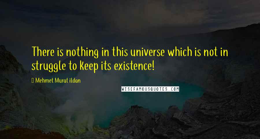 Mehmet Murat Ildan Quotes: There is nothing in this universe which is not in struggle to keep its existence!