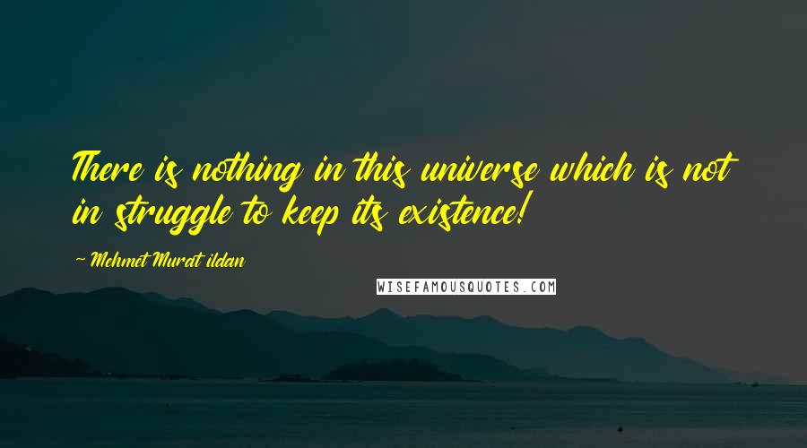 Mehmet Murat Ildan Quotes: There is nothing in this universe which is not in struggle to keep its existence!