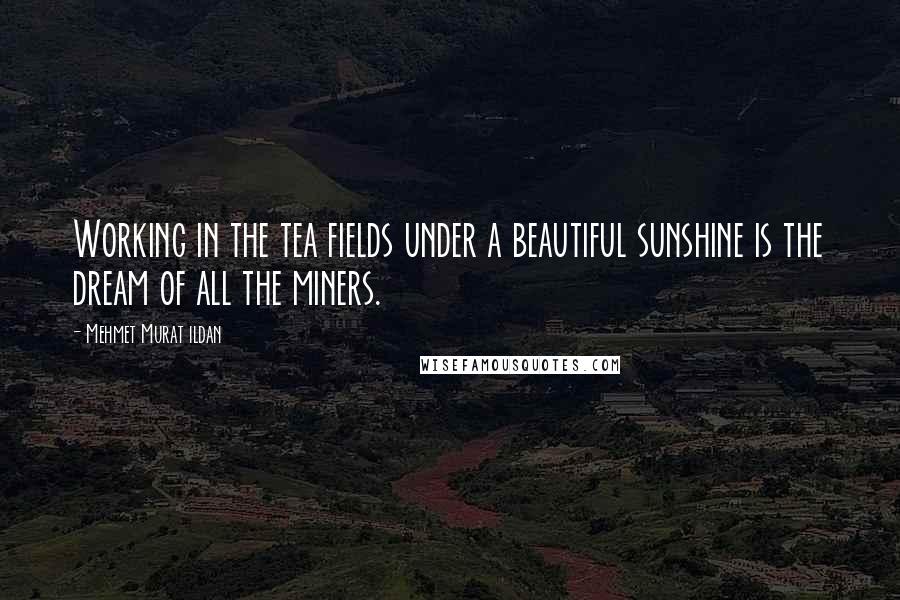 Mehmet Murat Ildan Quotes: Working in the tea fields under a beautiful sunshine is the dream of all the miners.