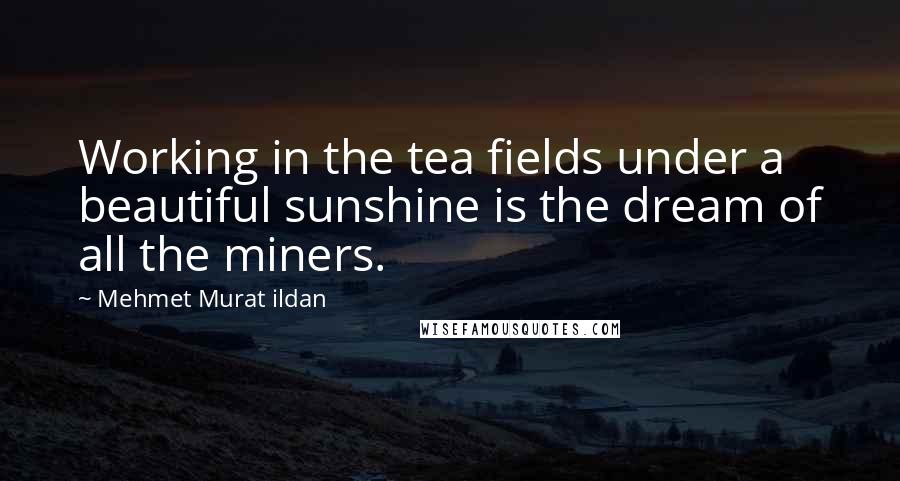 Mehmet Murat Ildan Quotes: Working in the tea fields under a beautiful sunshine is the dream of all the miners.