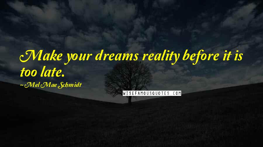 Mel Mae Schmidt Quotes: Make your dreams reality before it is too late.