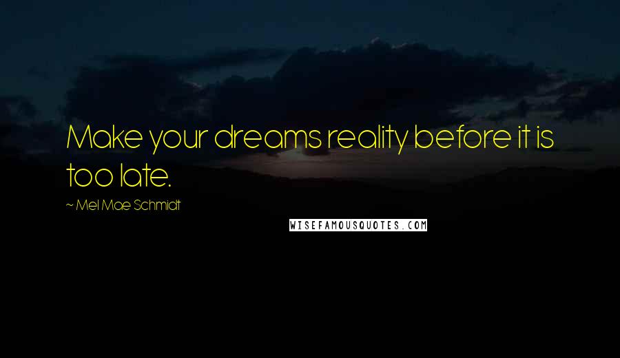 Mel Mae Schmidt Quotes: Make your dreams reality before it is too late.